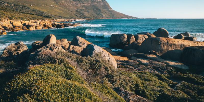 Live the Braai Life
